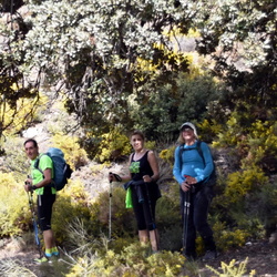 22-04-16 S. Santa Almeria